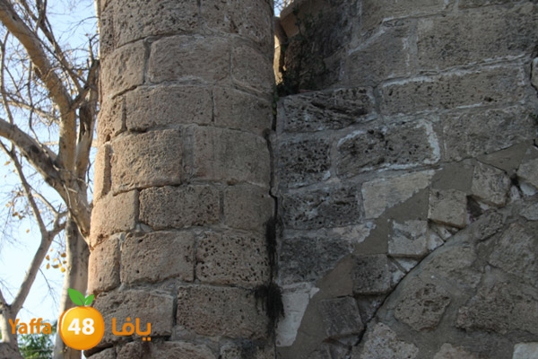 abonabootsbeel502 (13).JPG